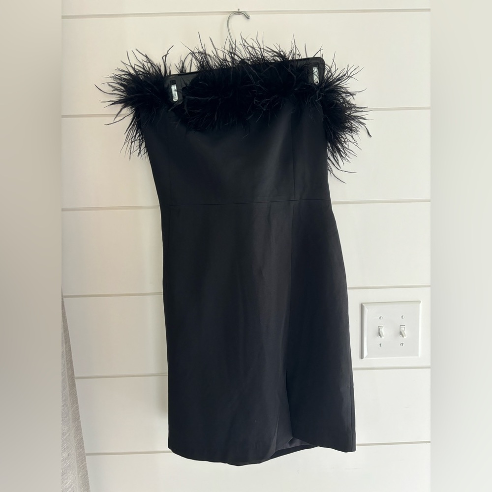Par Violet ~ Feather Dress